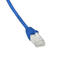  Cordon UUTP CAT6 2m Bleu 